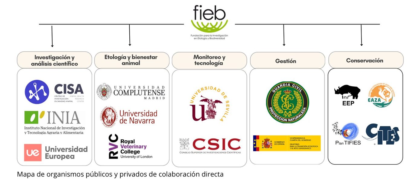 Diagrama de colaboraciones FIEB — áreas de trabajo