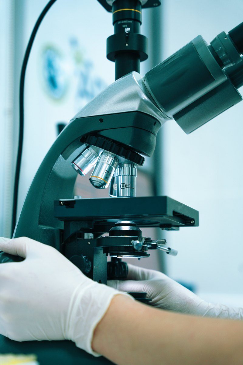 Investigación científica en Fieb Foundation